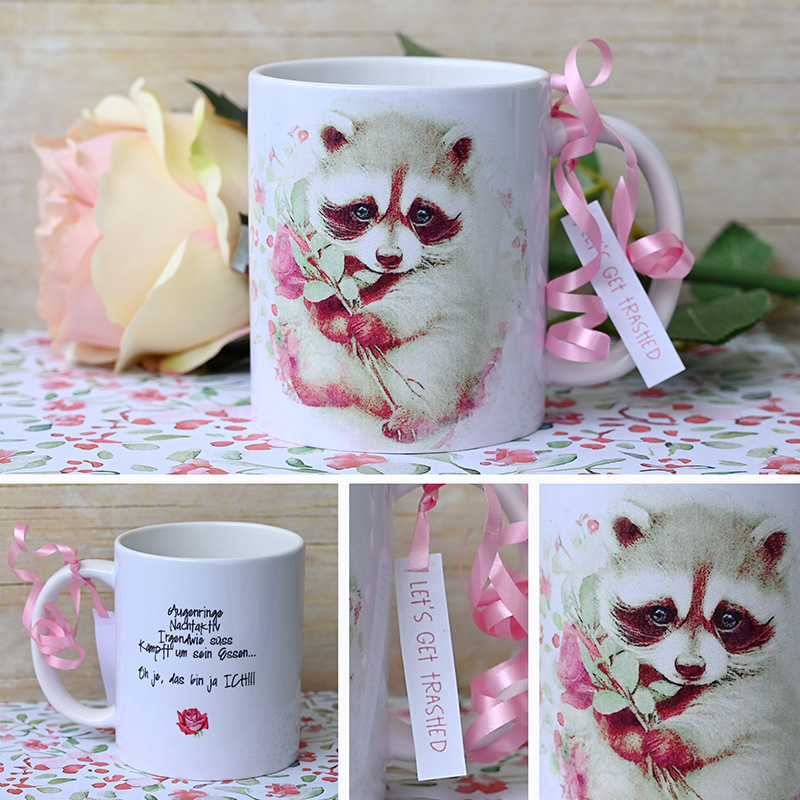 Racoon-1