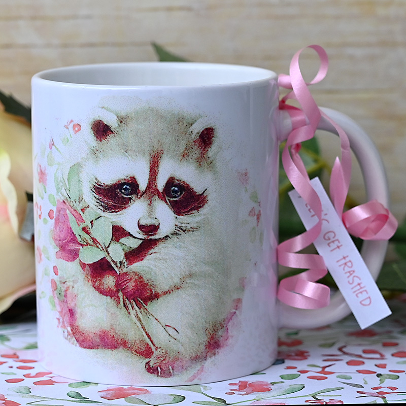Racoon-3