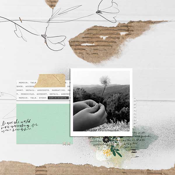 Raileigh and the Wish Flower- July 2016