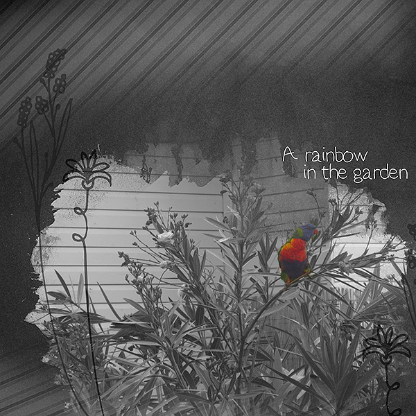 Rainbow in the Garden