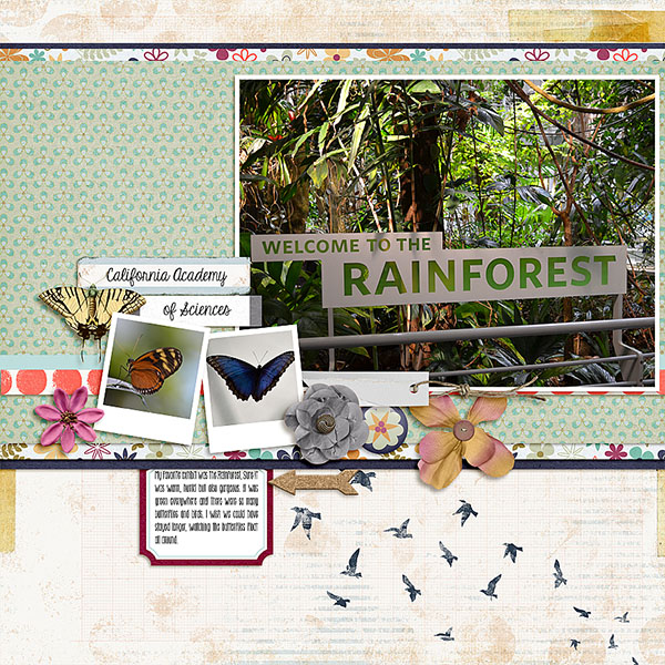 Rainforest