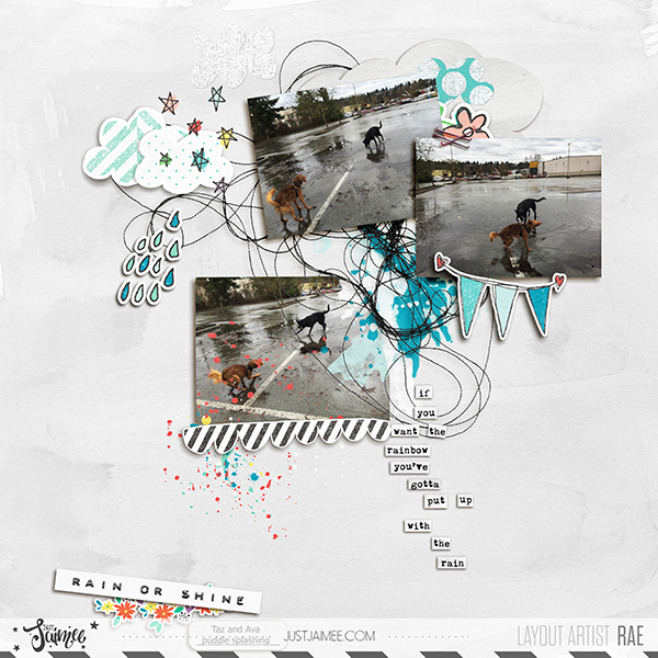 Rainorshine-600-0