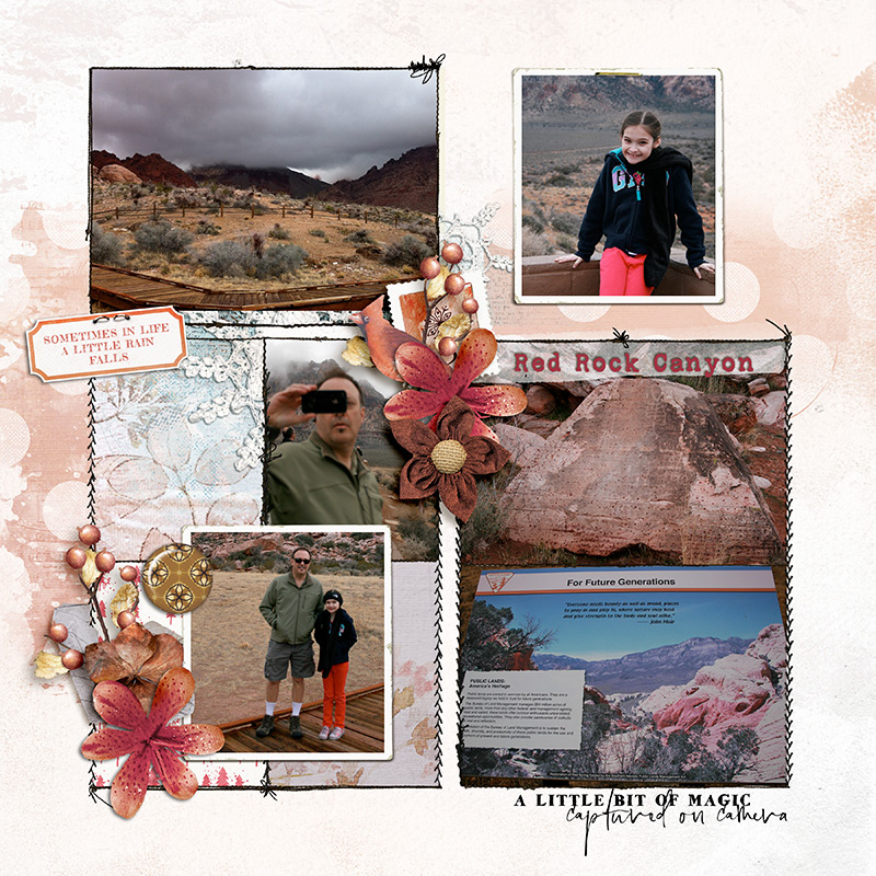 Rainy Red Rock 2013