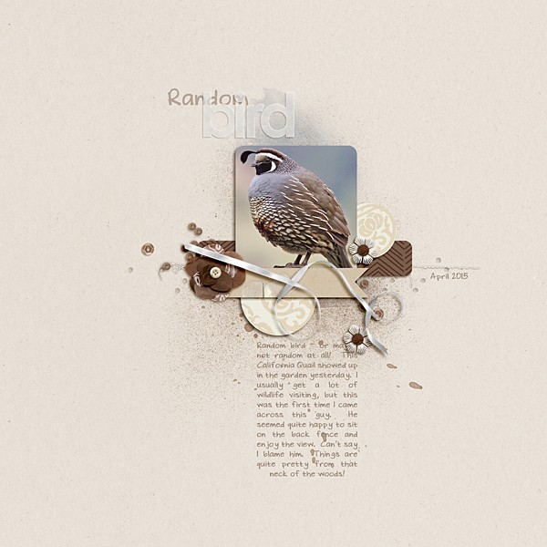 Random Bird
