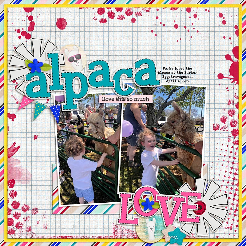 Random Challenge- June 2023- Alpaca Love