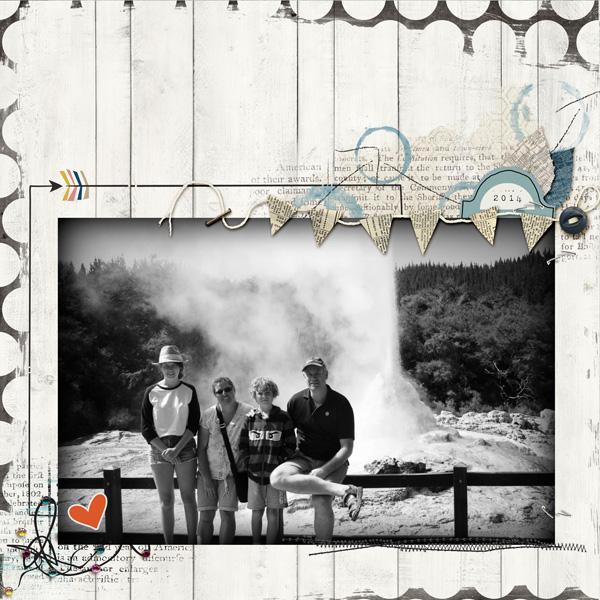 Random challenge - NZ Geyser