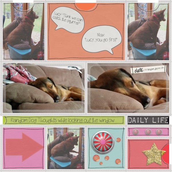 Random Dog Thoughts