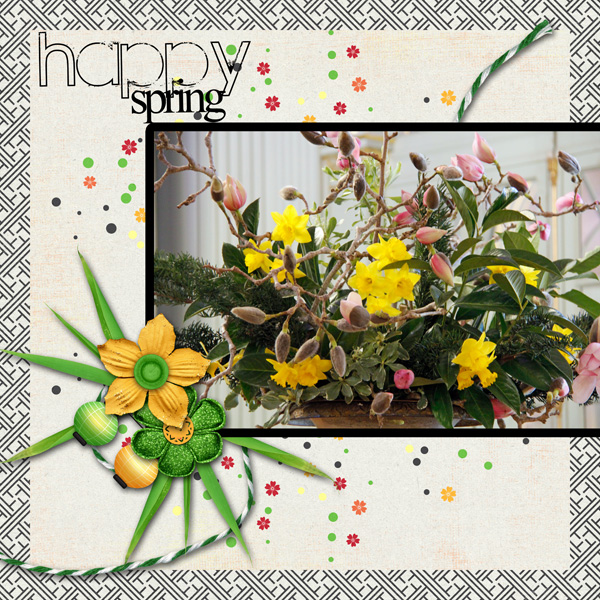 Random_happyspring