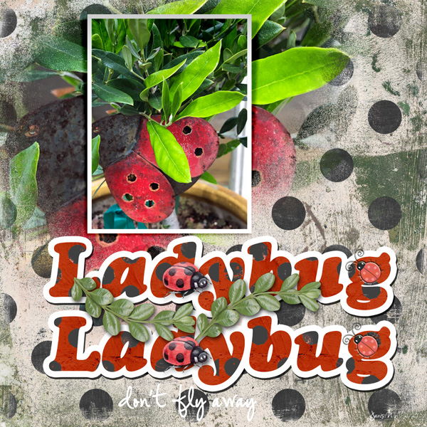 Random_ladybug