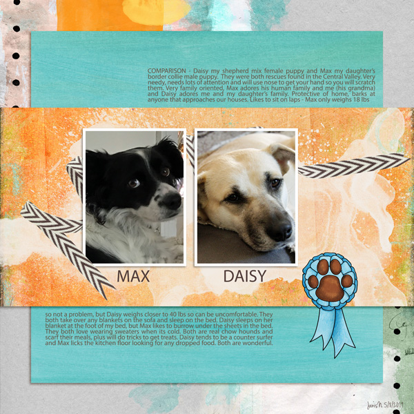 Random_MaxDaisy