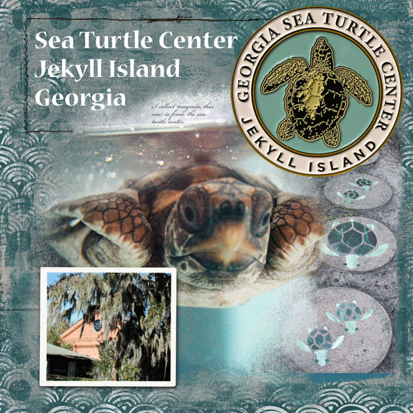 Random_seaturtlecenter