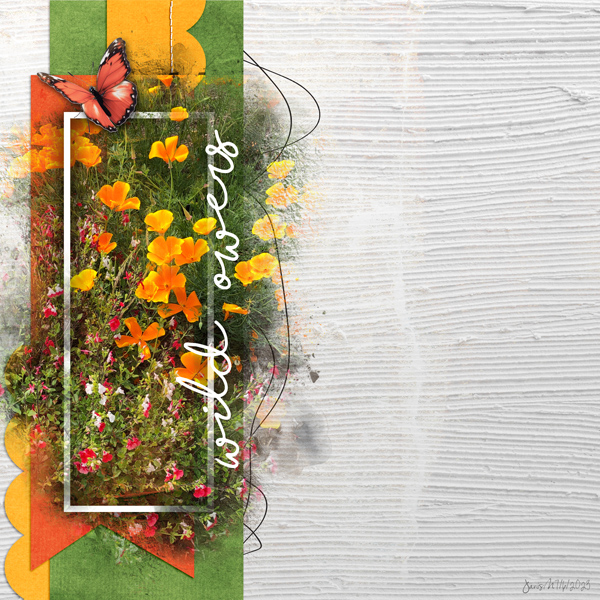 Random_wildflowers