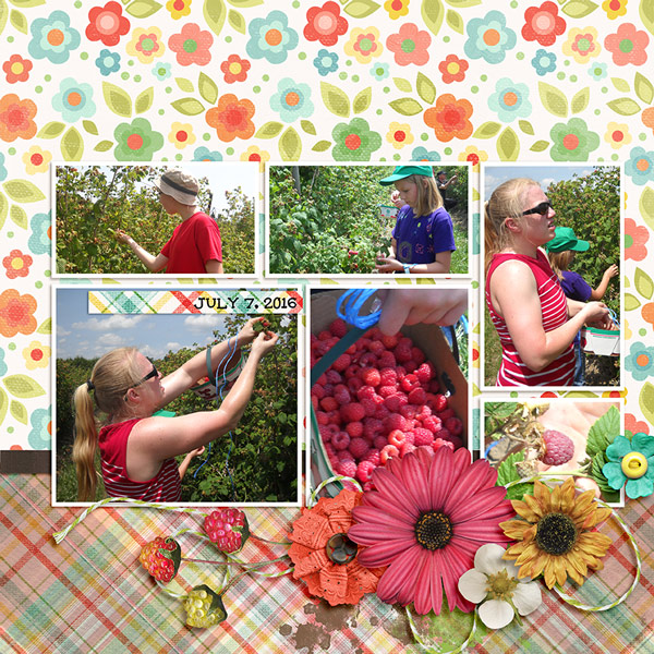 Raspberries
