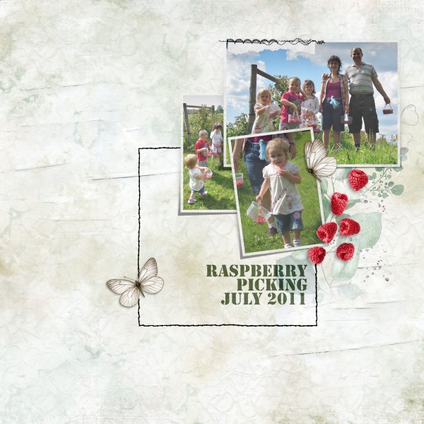 Raspberry Picking