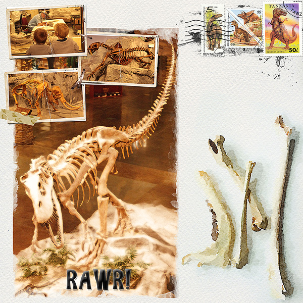 Rawr! Dinosaurs