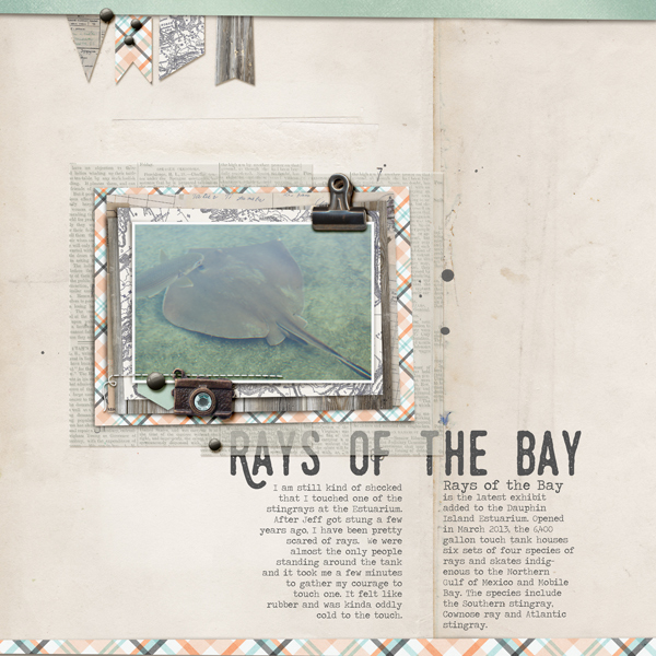 Rays of the Bay