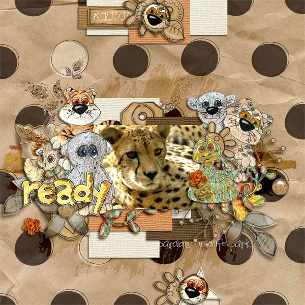 Ready