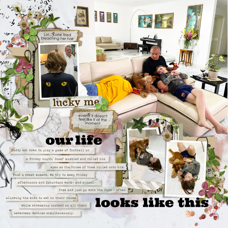 Real Life Looks Like This
