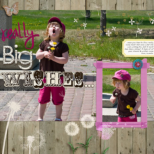 Really Big Wishes