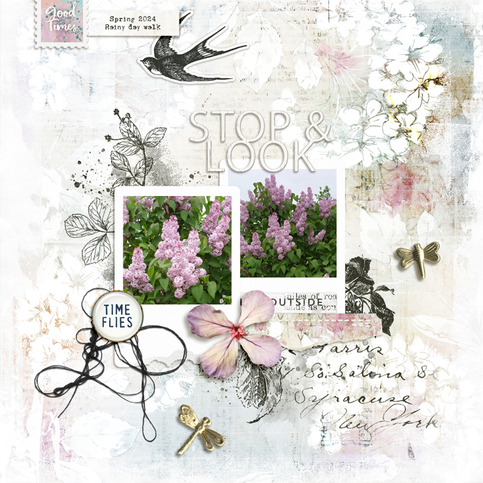 Recipe Scrap Challenge | DSD 2024