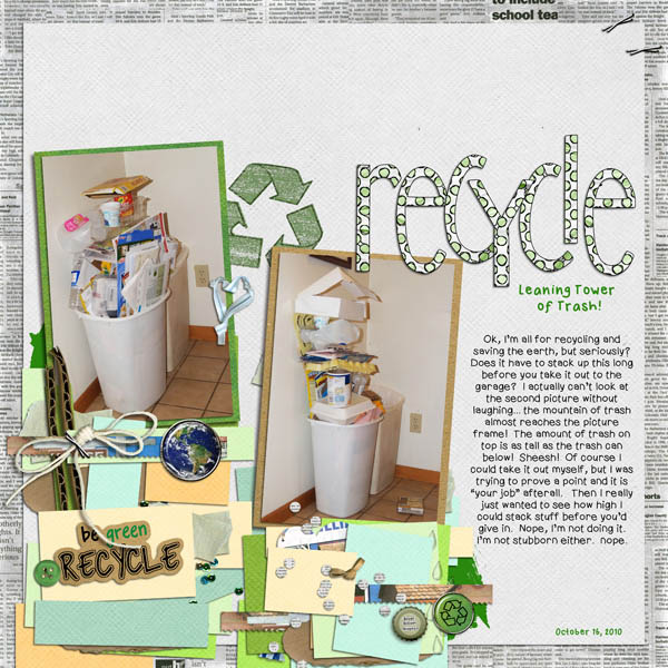 Recycle Overflow