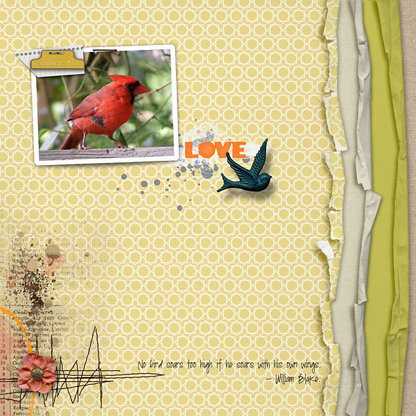 Red Cardinal