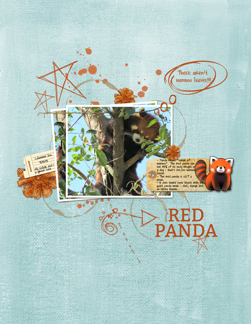 Red-Panda-(MOC#6-2)