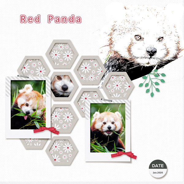 Red Panda