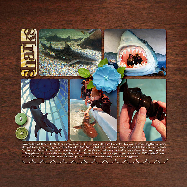 Redwoods Trip Page 5