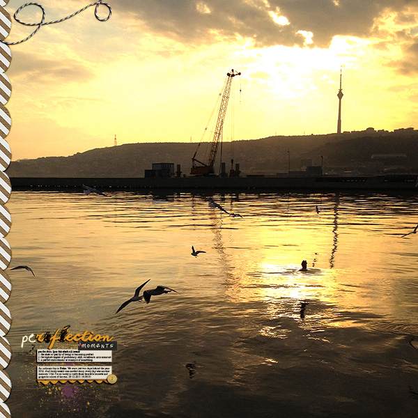 reflection perfection