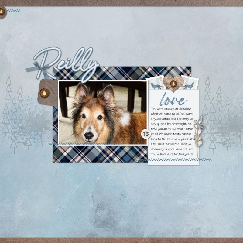 Reilly at Thirteen