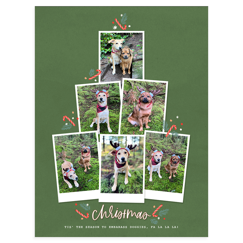 Reindeer dogs