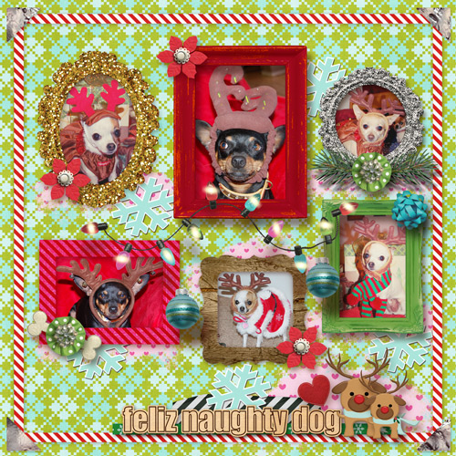 Reindeer-gallery