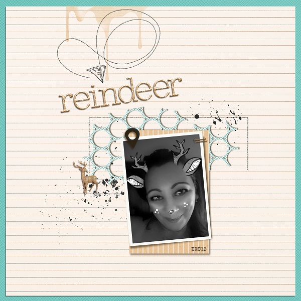 Reindeer