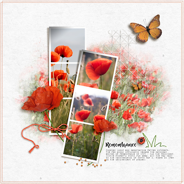 Remembrance