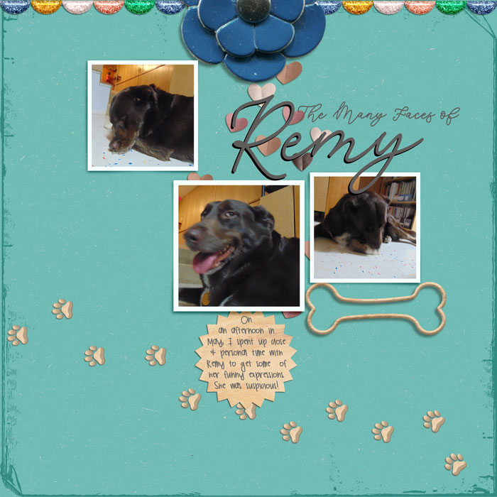 Remy-in-May