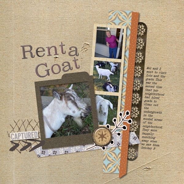 Rent A Goat