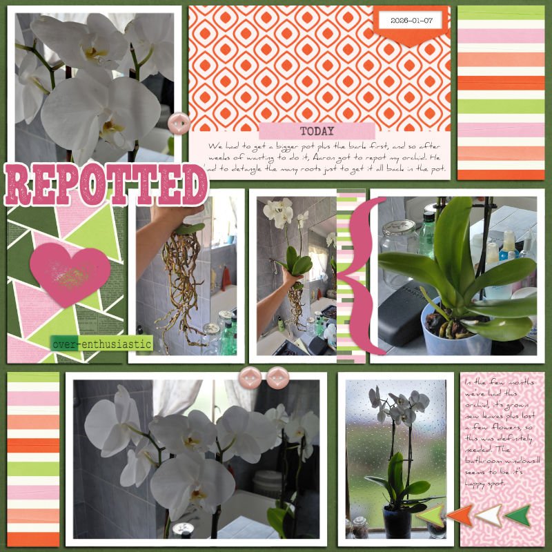Repotted