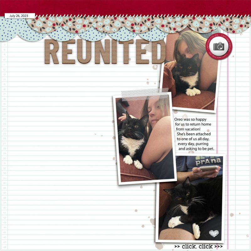 Reunited (SWL Template July 2023)