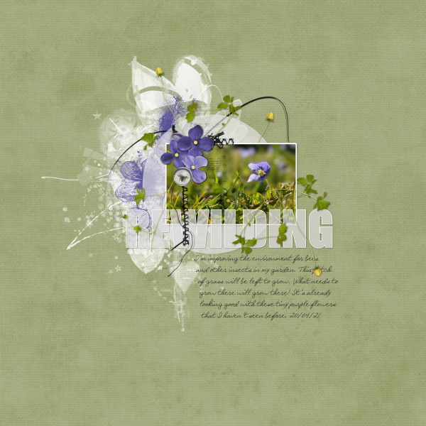 Rewilding