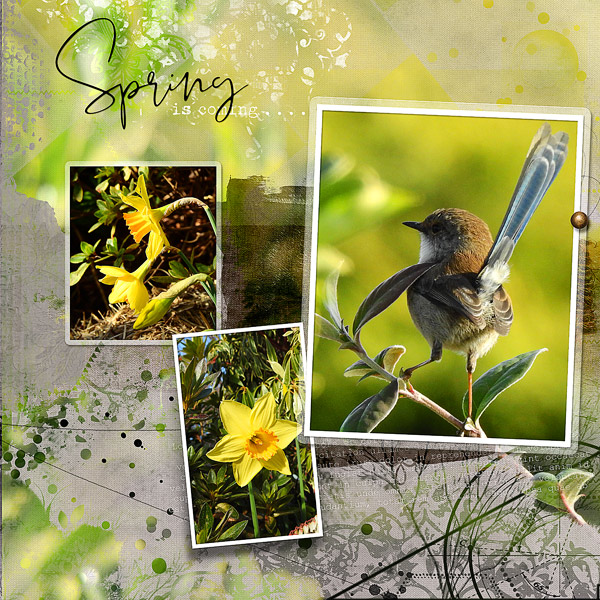 RIGHT HAND SIDE - SPRING IS COMING