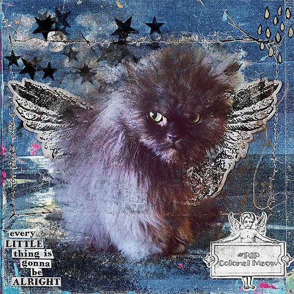 Rip Colonel Meow