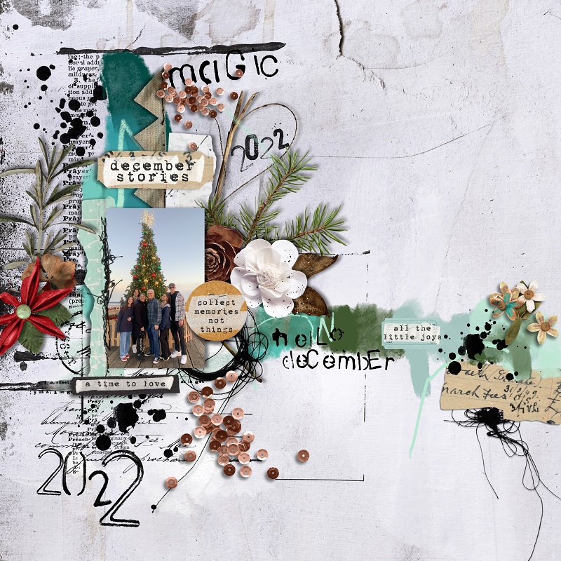 RJ-MIXED MEDIA CHALLENGE JAN