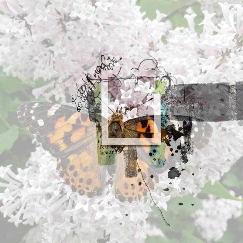 Rjefferies-stampalicious-wildwillow
