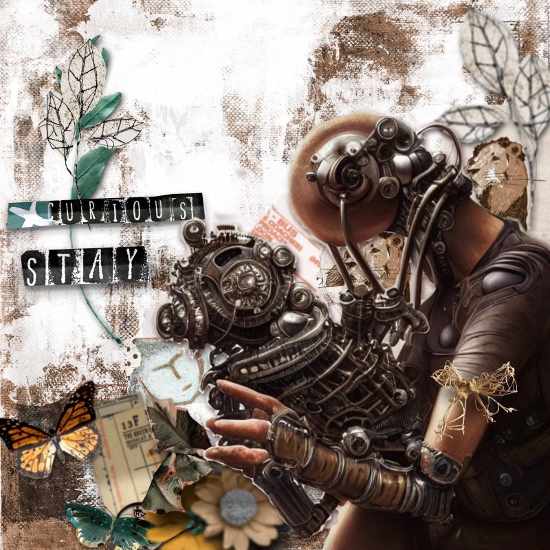 Rjefferies-staycurious