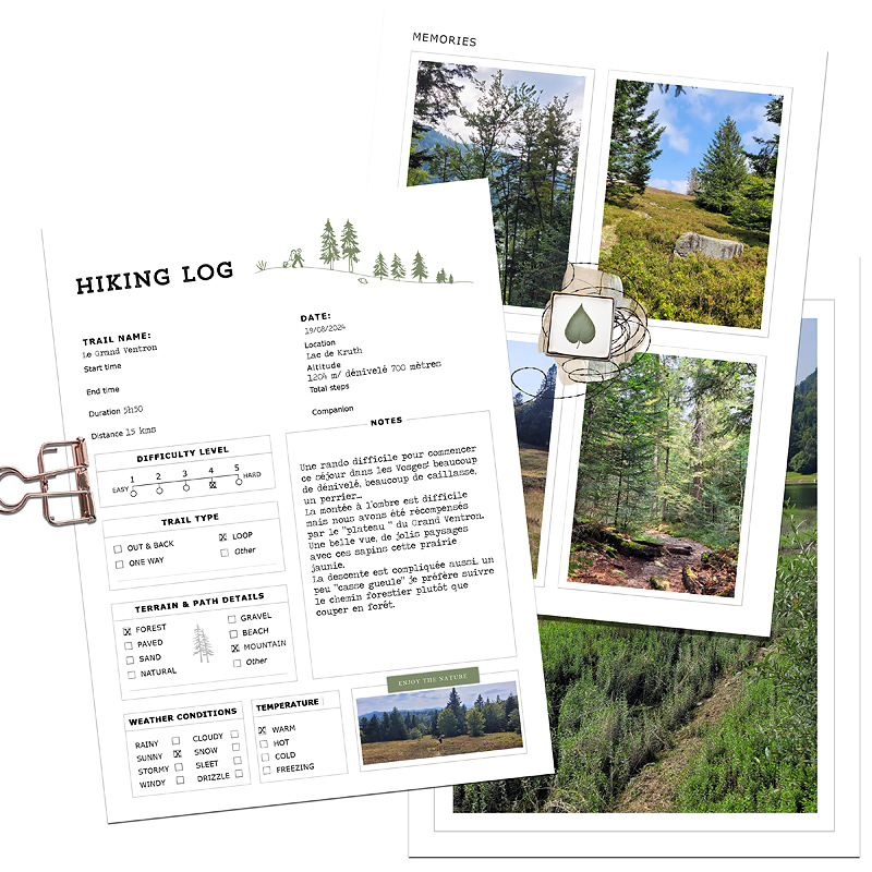Roam Notebook2