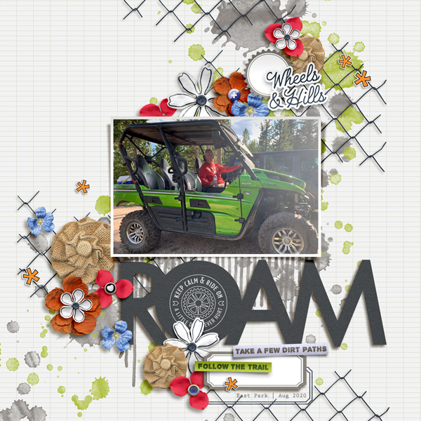roam