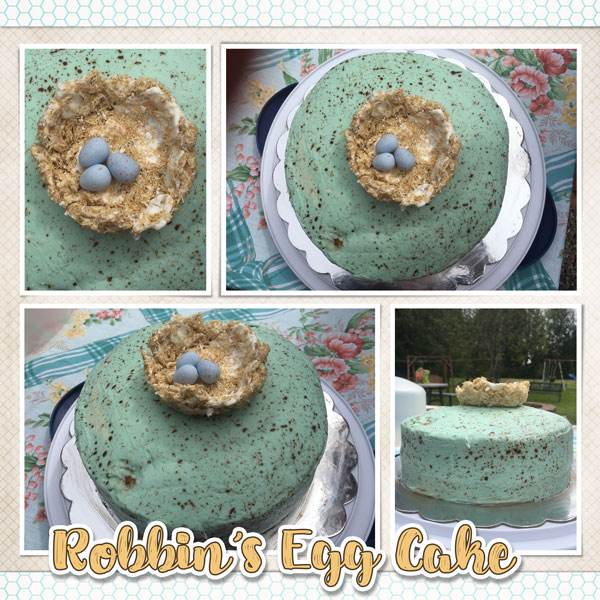 Robbin's Egg Cake