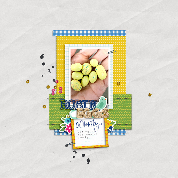 Robin Eggs