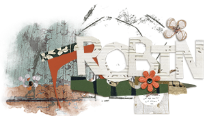 Robin Siggy.png